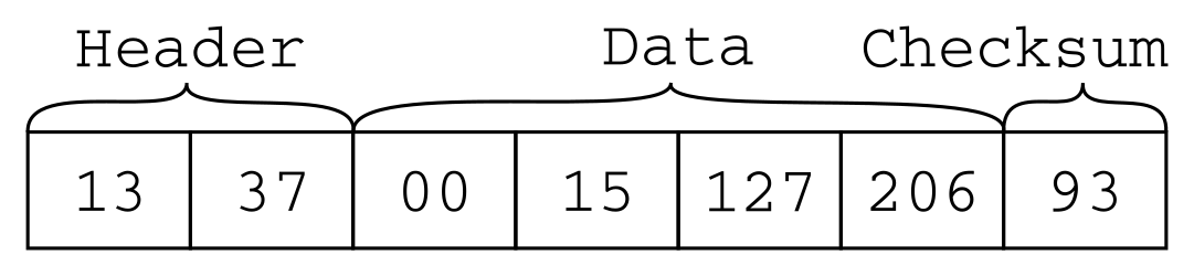 What could be our packet format